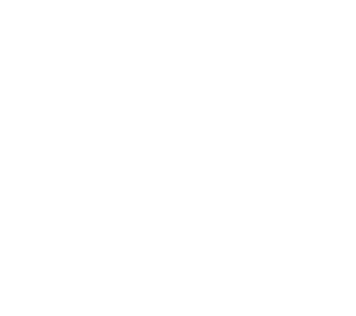 Freyza Logo